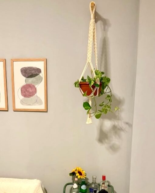 Suporte de Planta Suspenso