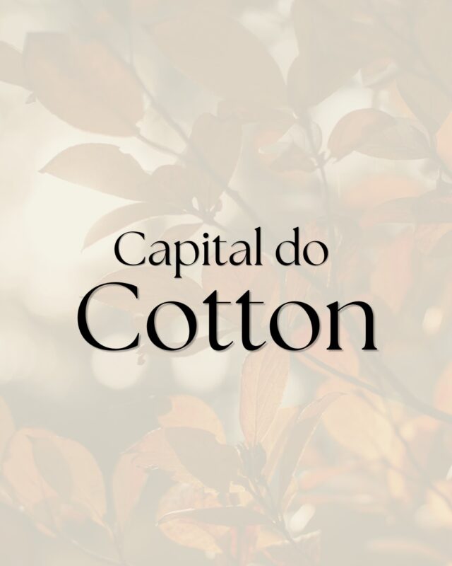 Logo da loja Capital do Cotton